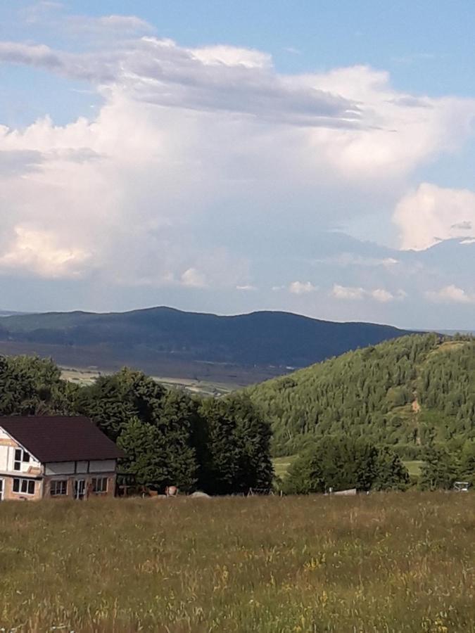 Pensiunea Natura Sadu Sibiu Exterior photo