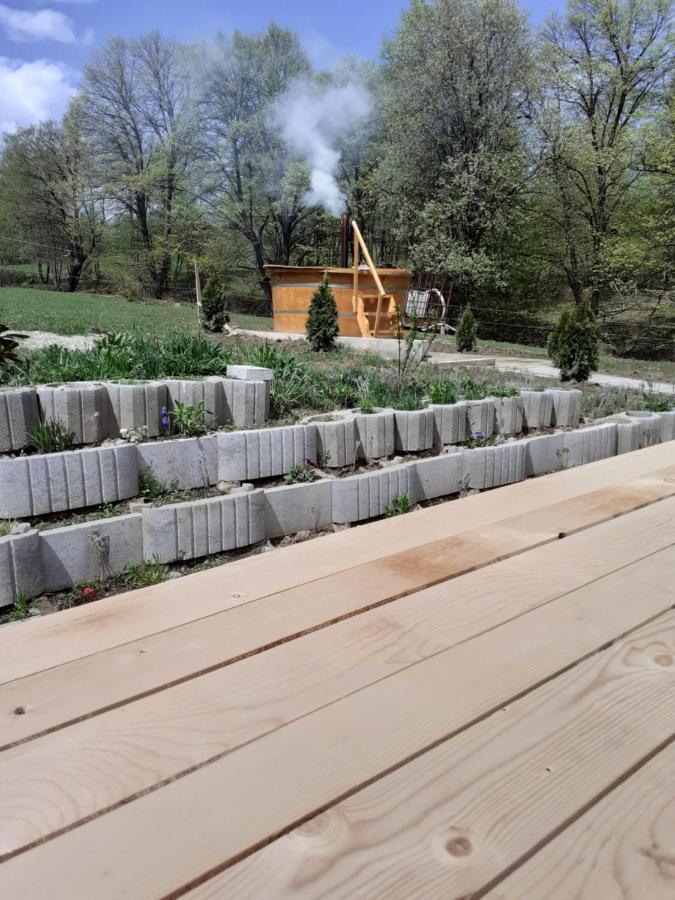 Pensiunea Natura Sadu Sibiu Exterior photo
