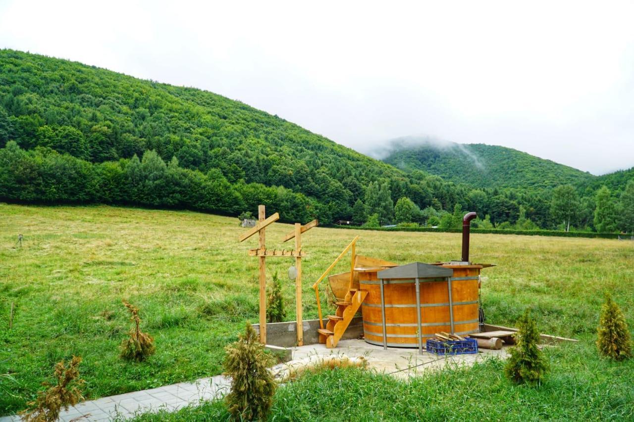 Pensiunea Natura Sadu Sibiu Exterior photo