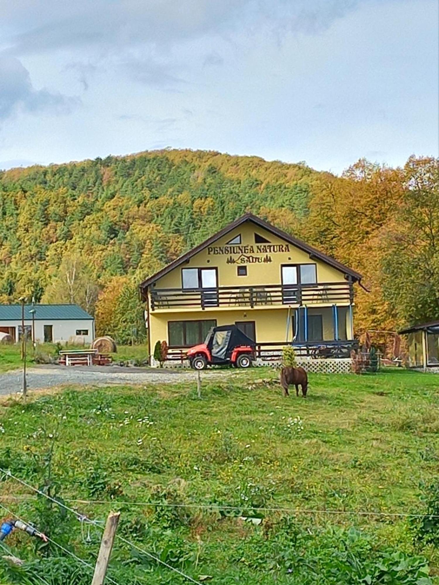 Pensiunea Natura Sadu Sibiu Exterior photo